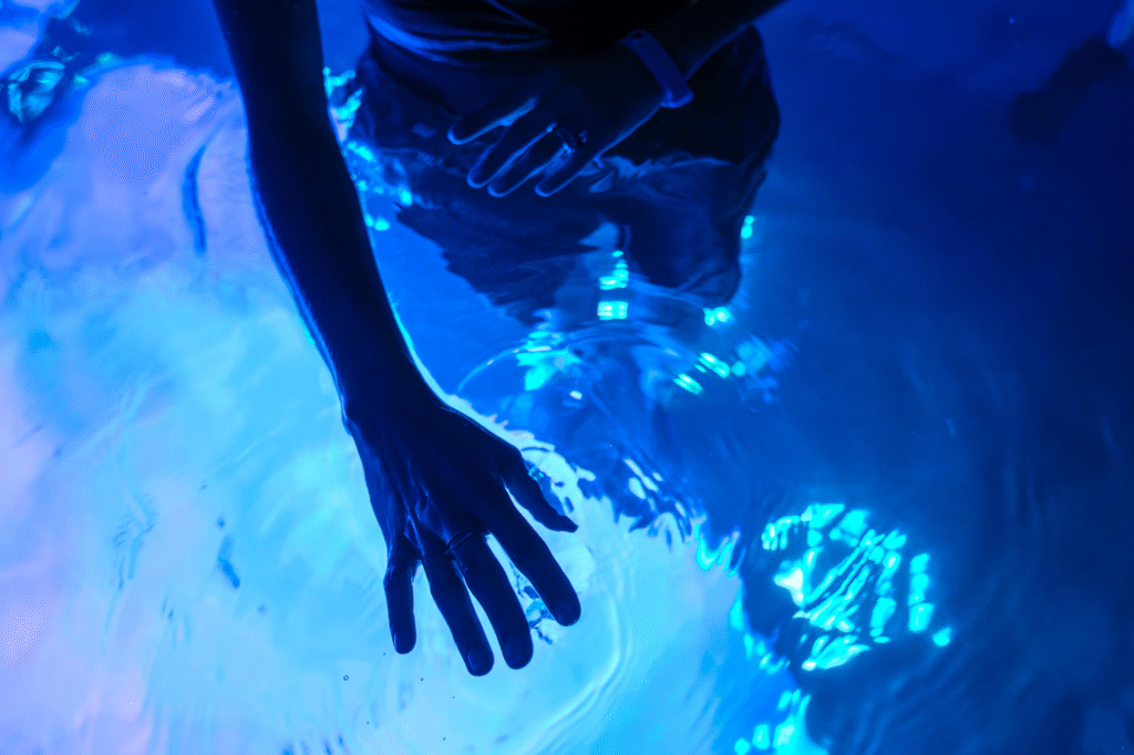 Aquascope, le parc aquatique nouvelle génération haute technologies du Futuroscope ! - Parcs Actus - Actualite des parcs d'attractions image 14 - Actualité des Parcs d'attractions - Parcs Actus