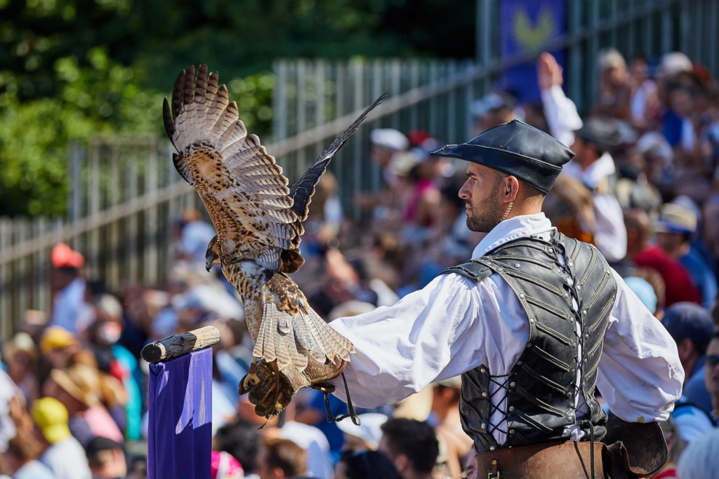 Les meilleures places dans les spectacles du Puy du Fou - Parcs Actus - Actualite des parcs d'attractions image 25 - Actualité des Parcs d'attractions - Parcs Actus