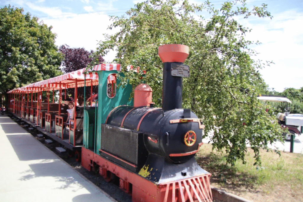 Top 10 des meilleures attractions de Papéa Parc - Parcs Actus - Actualite des parcs d'attractions image 168 - Actualité des Parcs d'attractions - Parcs Actus