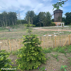 The ride to Happiness, le spinning coaster envoutant de Plopsaland de Panne - Parcs Actus - Actualite des parcs d'attractions image 180 - Actualité des Parcs d'attractions - Parcs Actus