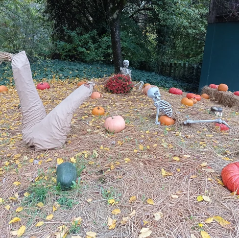 Walygator Grand Est fête Walloween