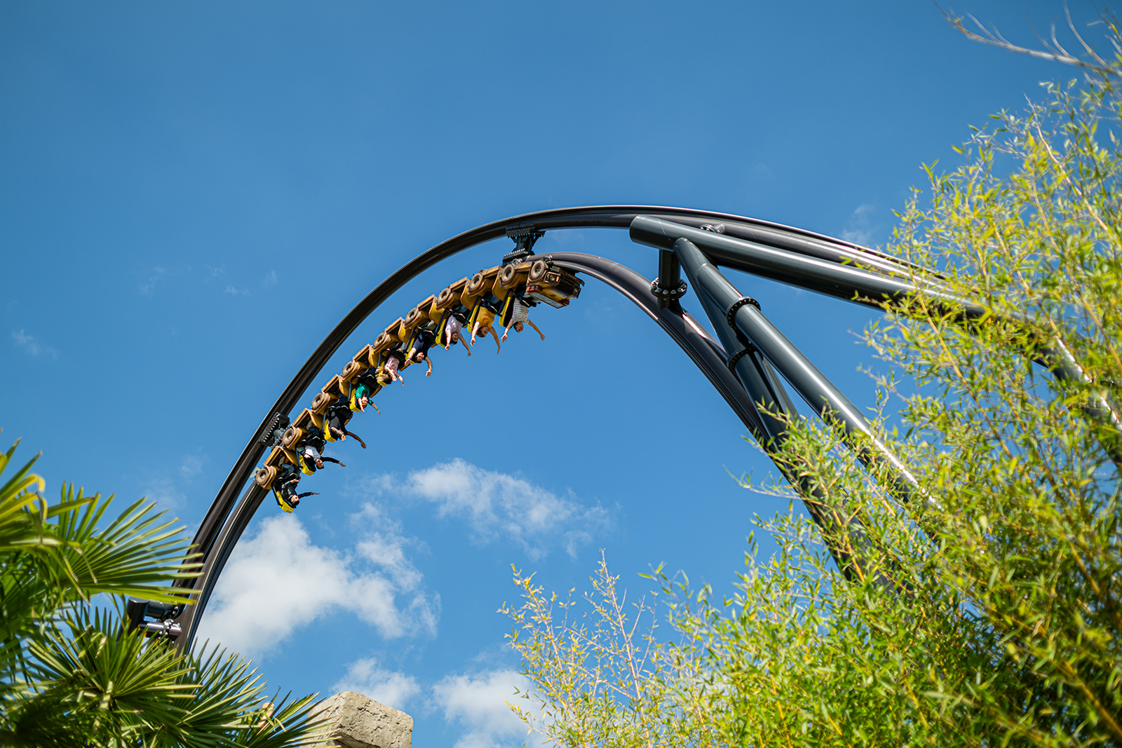 Mahuka à Walibi, une évasion spectaculaire au cœur d’Exotic Island - Parcs Actus