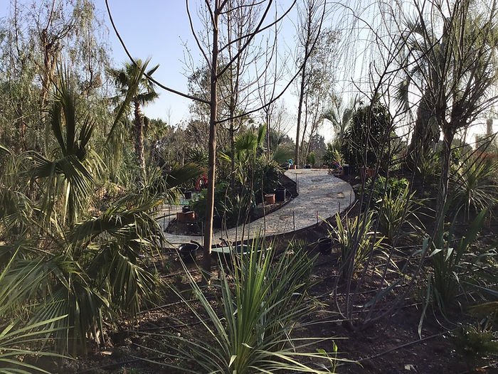 En 2021, le Parc Spirou prévoit des nouveautés et de la thématisation ! - Parcs Actus - Actualite des parcs d'attractions image 48 - Actualité des Parcs d'attractions - Parcs Actus