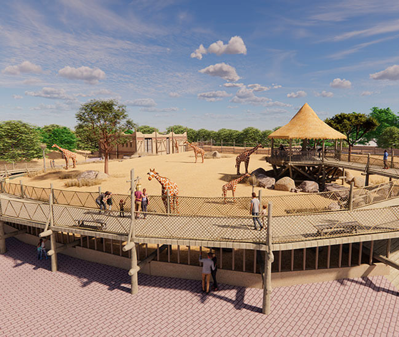 En 2023, Bellewaerde ouvre 2 attractions et 4 nouveaux aménagements ! - Parcs Actus - Actualite des parcs d'attractions image 74 - Actualité des Parcs d'attractions - Parcs Actus