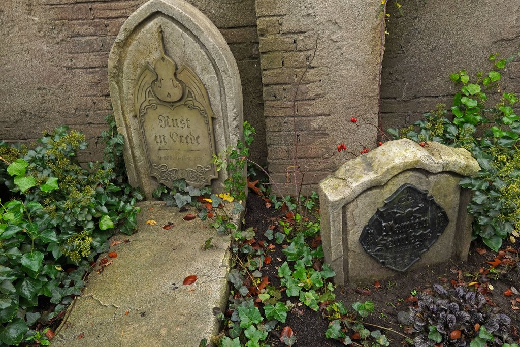 Danse Macabre, la nouvelle attraction “grands frissons” d’Efteling - Parcs Actus - Actualite des parcs d'attractions 54154902212 77583ba0f4 b - Actualité des Parcs d'attractions - Parcs Actus