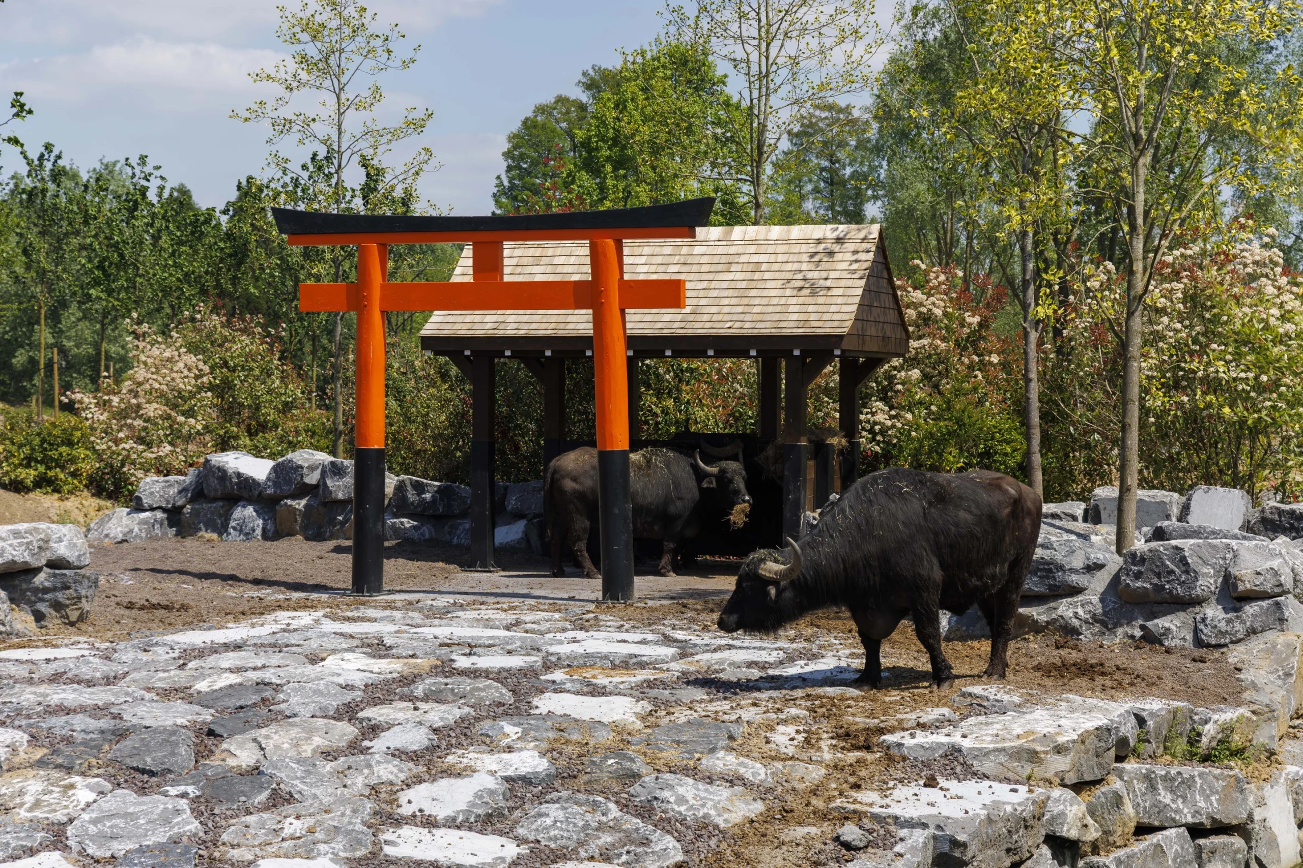 Un 9ème monde dédié au Japon à Pairi Daiza - Parcs Actus