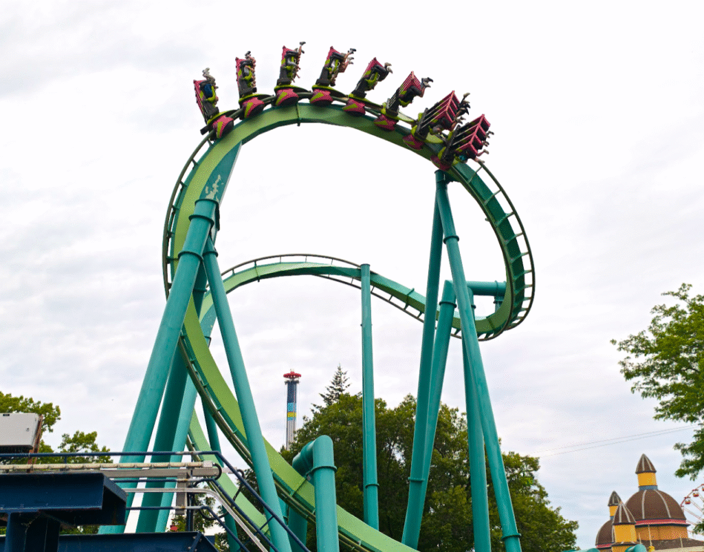 Cobra roll - Actualité des Parcs d'attractions - Parcs Actus