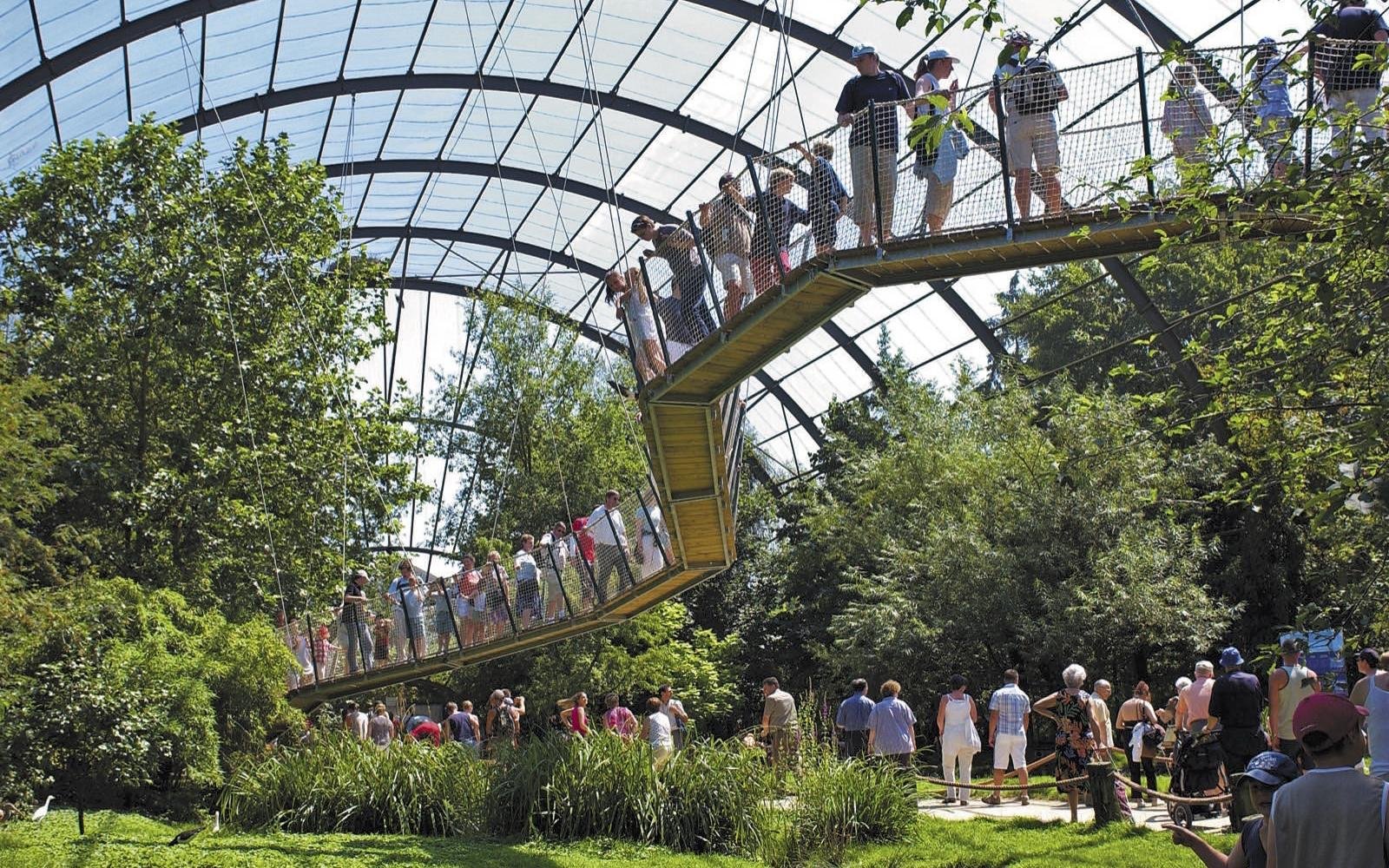 Top 10 des expériences à ne pas rater à Pairi Daiza - Parcs Actus