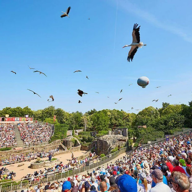 Cetreria de Reyes, des centaines d'oiseaux déploient leurs ailes au Puy du Fou Espagne (2021) - Parcs Actus