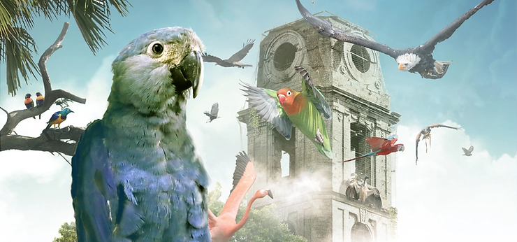 Top 10 des expériences à ne pas rater à Pairi Daiza - Parcs Actus - Actualite des parcs d'attractions image 19 - Actualité des Parcs d'attractions - Parcs Actus