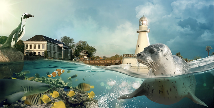 Top 10 des expériences à ne pas rater à Pairi Daiza - Parcs Actus - Actualite des parcs d'attractions image 20 - Actualité des Parcs d'attractions - Parcs Actus