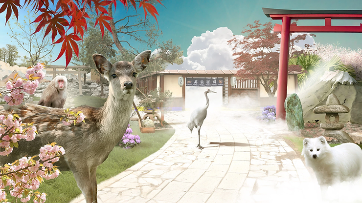 Top 10 des expériences à ne pas rater à Pairi Daiza - Parcs Actus - Actualite des parcs d'attractions image 23 - Actualité des Parcs d'attractions - Parcs Actus
