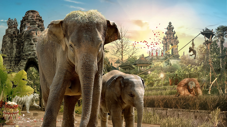 Top 10 des expériences à ne pas rater à Pairi Daiza - Parcs Actus - Actualite des parcs d'attractions image 24 - Actualité des Parcs d'attractions - Parcs Actus