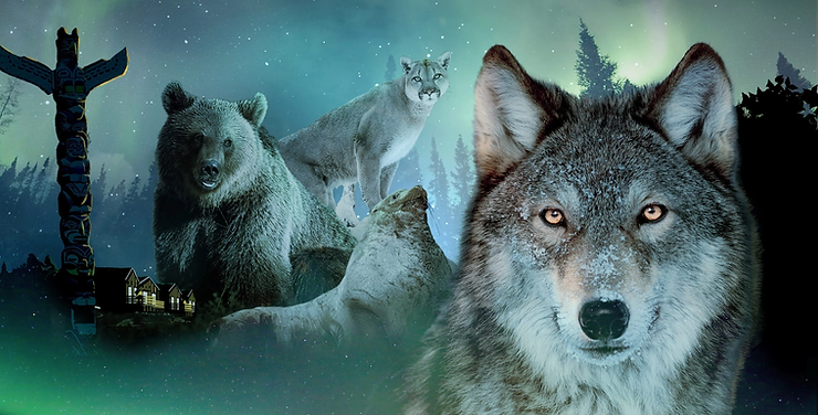Top 10 des expériences à ne pas rater à Pairi Daiza - Parcs Actus - Actualite des parcs d'attractions image 26 - Actualité des Parcs d'attractions - Parcs Actus