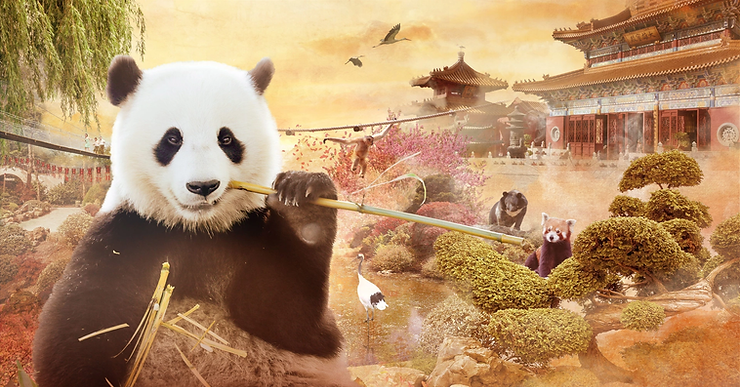 Top 10 des expériences à ne pas rater à Pairi Daiza - Parcs Actus - Actualite des parcs d'attractions image 27 - Actualité des Parcs d'attractions - Parcs Actus