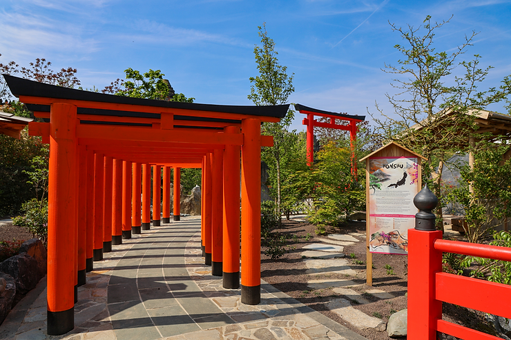 Un 9ème monde dédié au Japon à Pairi Daiza - Parcs Actus - Actualite des parcs d'attractions image 33 - Actualité des Parcs d'attractions - Parcs Actus