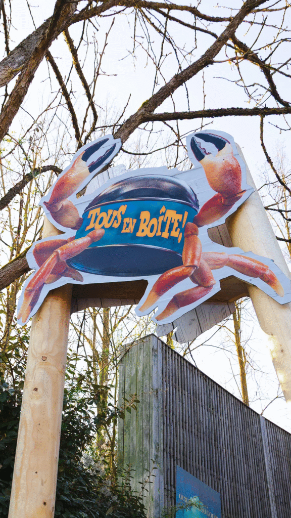 Dock World et Mecalodon, Walibi Belgium prend le large avec le meilleur family coaster de Belgique ! - Parcs Actus - Actualite des parcs d'attractions image 28 - Actualité des Parcs d'attractions - Parcs Actus