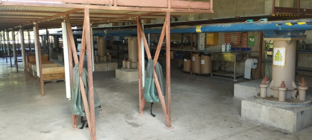 Coulisses : Visite avec Intamin chez PortAventura