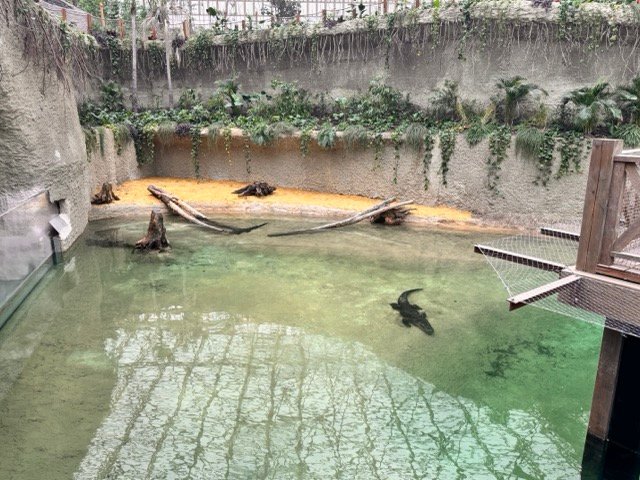 IMG 6553 Moyenne - Actualité des Parcs d'attractions - Parcs Actus