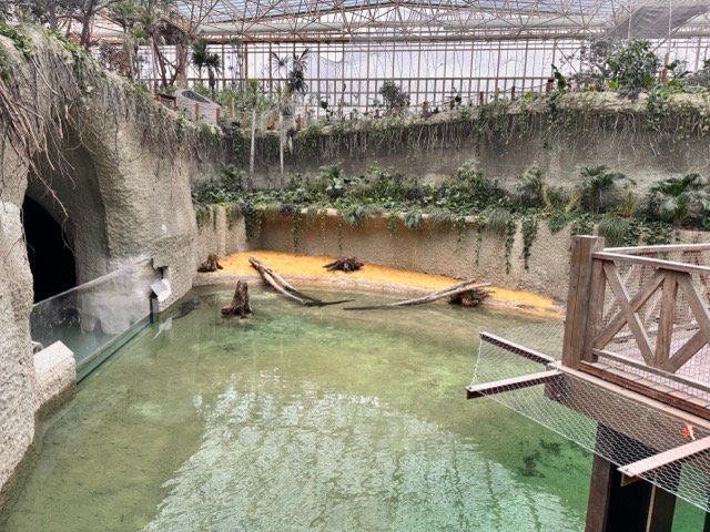 IMG 6641 Moyenne - Actualité des Parcs d'attractions - Parcs Actus