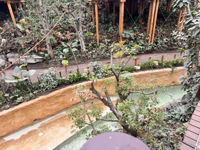 IMG 6705 Moyenne - Actualité des Parcs d'attractions - Parcs Actus