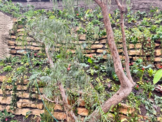 IMG 6756 Moyenne - Actualité des Parcs d'attractions - Parcs Actus