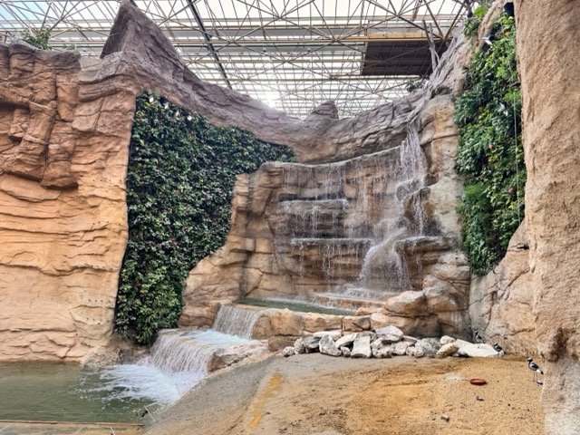 IMG 6774 Moyenne - Actualité des Parcs d'attractions - Parcs Actus