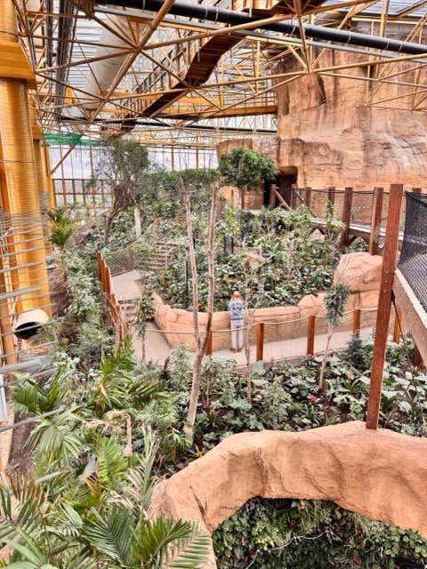 IMG 6800 Moyenne - Actualité des Parcs d'attractions - Parcs Actus