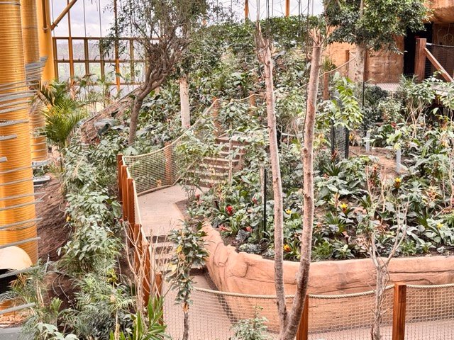 IMG 6801 Moyenne - Actualité des Parcs d'attractions - Parcs Actus