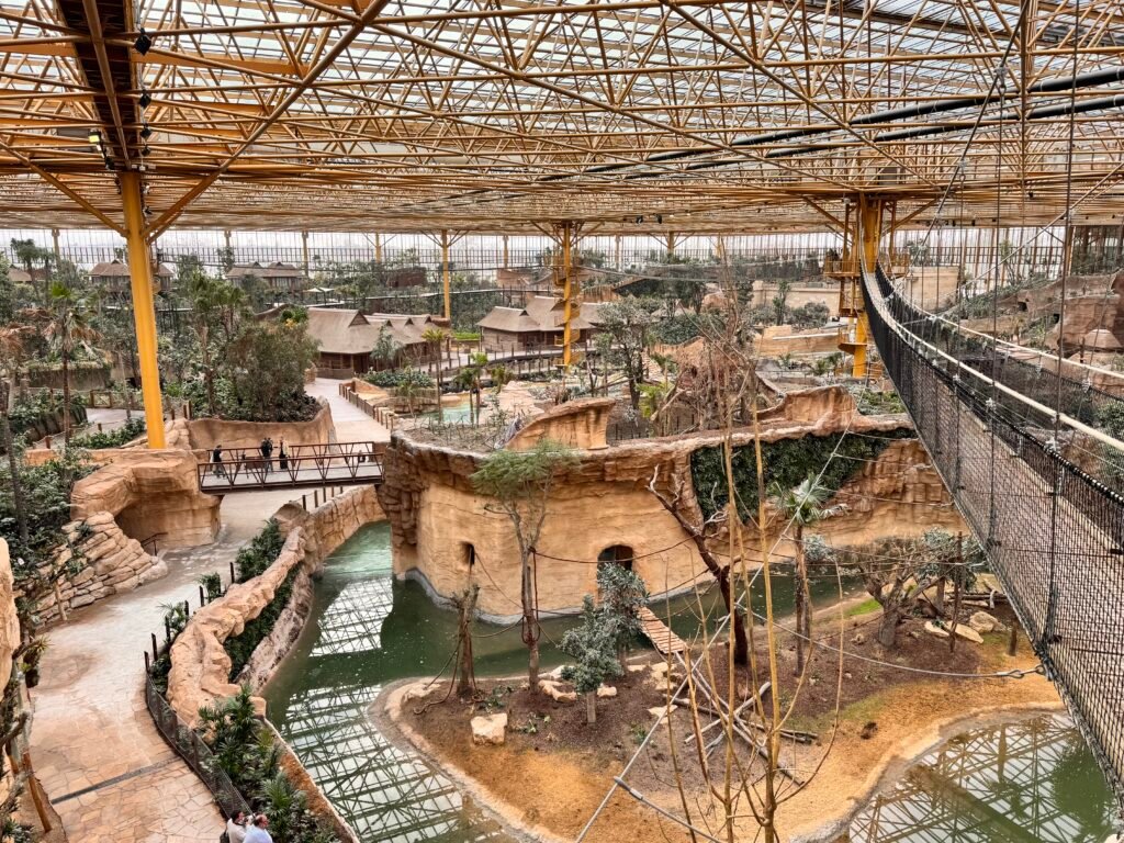On a visité Edenya, la nouvelle serre tropicale de Pairi Daiza !