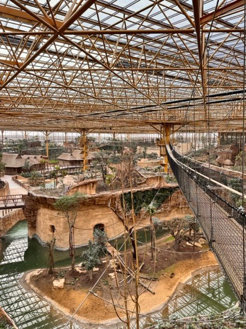 IMG 6805 Moyenne - Actualité des Parcs d'attractions - Parcs Actus