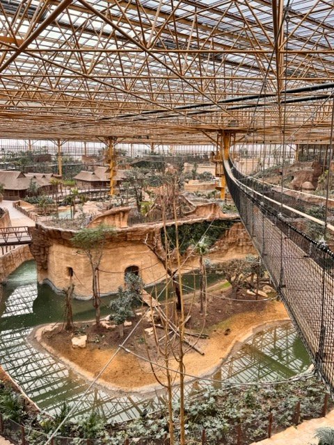 IMG 6806 Moyenne - Actualité des Parcs d'attractions - Parcs Actus