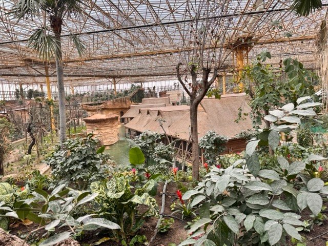 IMG 6818 Moyenne - Actualité des Parcs d'attractions - Parcs Actus