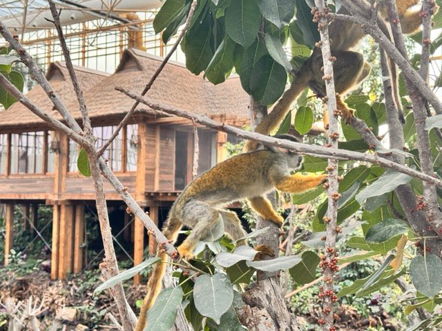 IMG 6822 Moyenne - Actualité des Parcs d'attractions - Parcs Actus