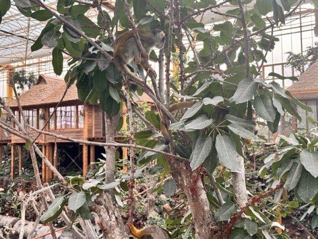 IMG 6823 Moyenne - Actualité des Parcs d'attractions - Parcs Actus