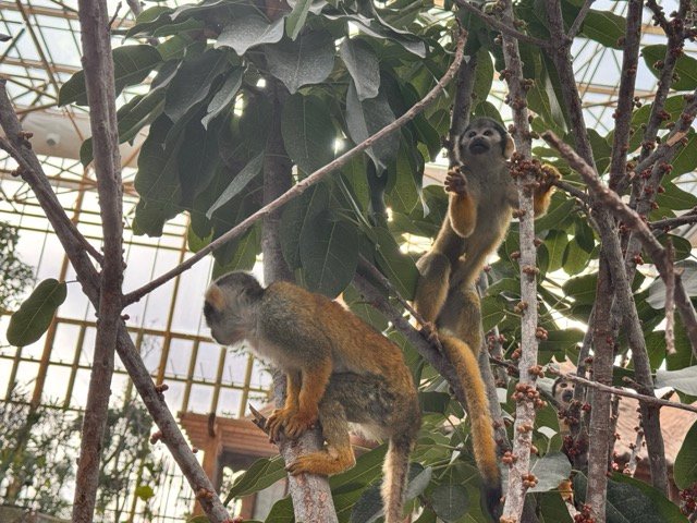 IMG 6826 Moyenne - Actualité des Parcs d'attractions - Parcs Actus