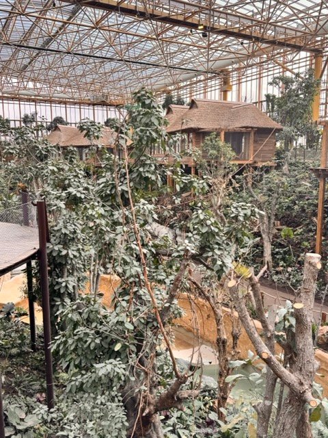 IMG 6830 Moyenne - Actualité des Parcs d'attractions - Parcs Actus