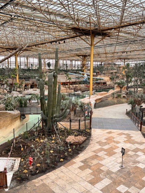 IMG 6835 Moyenne - Actualité des Parcs d'attractions - Parcs Actus